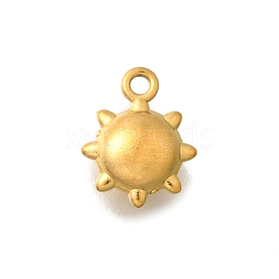 304 Stainless Steel Charms STAS-D310-06G-01-1