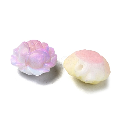 Resin Beads RESI-F046-03-1