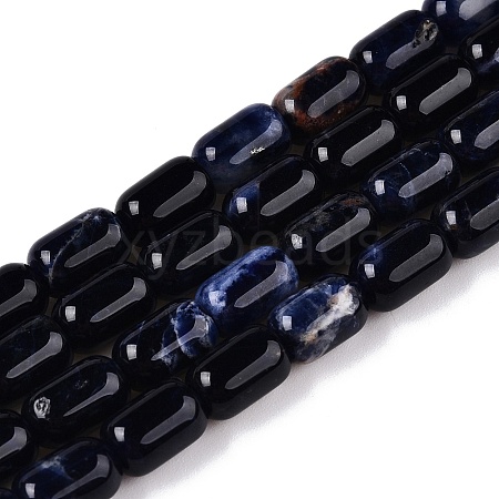 Natural Sodalite Beads Strands G-G980-37B-1