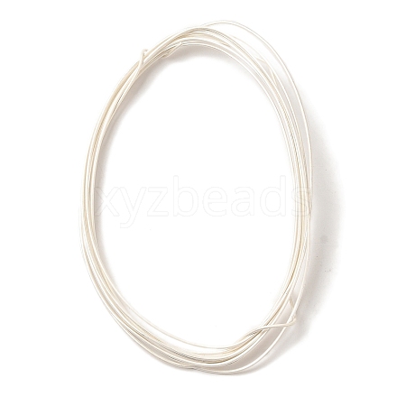 925 Sterling Silver Wire STER-D002-0.8mm-A-1