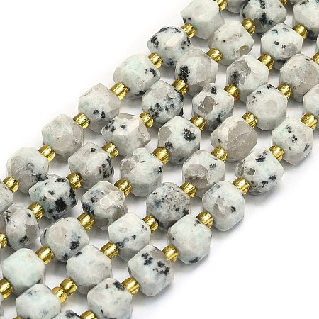 Natural Sesame Jasper Beads Strands G-I376-D61-01-1