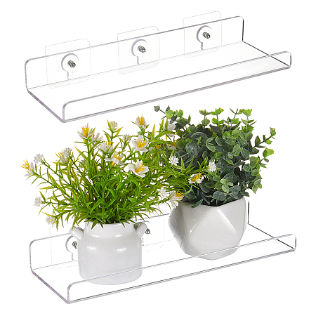 Acrylic Flower Pot Wall Storage Rack ODIS-WH0043-83-1