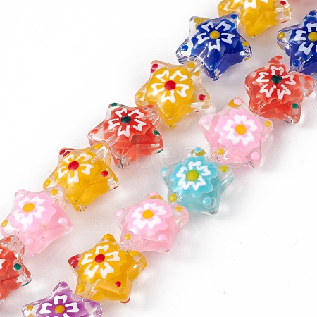 Handmade Lampwork Beads Strands LAMP-F029-03F-1