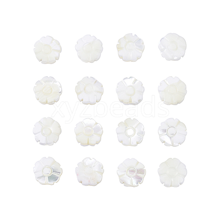Natural Shell Beads Strands SSHEL-CJ0001-09-1