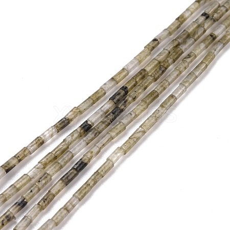 Natural Labradorite  Beads Strands G-M389-10-1