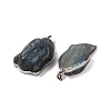 Natural Labradorite Carved Pendants G-B085-13P-2