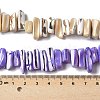 Dyed Natural Trochus Shell Beads Strands SSHEL-C013-09-4