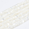 Natural Trochid Shell/Trochus Shell Beads Strands SSHEL-L016-13A-1