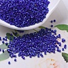 MIYUKI Delica Beads SEED-X0054-DB0216-1
