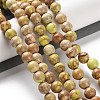 Dyed Natural Regalite/Imperial Jasper/Sea Sediment Jasper Beads Strands G-B124-C01-08-2