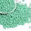 Baking Paint Glass Seed Beads X1-SEED-K010-A07-1