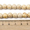 Natural Dyed Marble Beads Strands G-P593-8mm-06-5