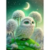 DIY Owl Diamond Painting Kit DIAM-PW0013-02E-1