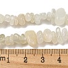 Natural White Moonstone Beads Strands G-P332-01-7