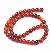 Natural Striped Agate/Banded Agate Beads Strands G-I261-C03-8mm-2