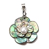 Natural Paua Shell & Natural Pearl Pendants SHEL-G024-08P-1