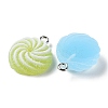 Translucent Resin Flat Round Pendants RESI-A025-03-3