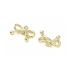 Alloy Pendants AL-CBA5609-04G-2