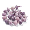 Natural Lepidolite/Purple Mica Stone Beads Strands G-B016-02-2