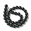 Natural Black Onyx Round Beads Strand G-L087-12mm-01-4