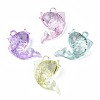 Transparent Acrylic Pendants TACR-N014-005-1