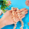 1 Strand Natural Seashell Shell Beads Strands SSHEL-TA0001-13-6