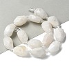 Natural Rainbow Moonstone Beads Strands G-H095-A07-01-2