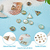 Craftdady 12Pcs 6 Styles Natural Shell Pendant Sets SHEL-CD0001-03-5