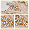 SUPERFINDINGS 2Pcs Alloy with Rhinestone Sewing Decorate DIY-FH0006-82G-4