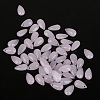 5Pcs Transparent Czech Glass Beads GLAA-PW0001-25F-1