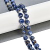 Natural Sodalite Beads Strands G-G182-B20-05-2