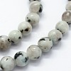 Natural Sesame Jasper/Kiwi Jasper Beads Strands X-G-I199-29-4mm-3