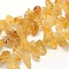 Rough Raw Natural Citrine Beads Strands G-K202-17C-1