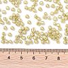 8/0 Glass Seed Beads SEED-A017-3mm-1113-3