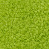MIYUKI Delica Beads X-SEED-J020-DB0766-3