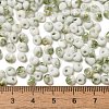 Baking Paint Glass Seed Beads X1-SEED-F006-01A-05-4