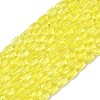 Transparent Glass Beads Strands GLAA-Z018-C24-1