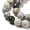 Natural Polychrome Jasper/Picasso Stone/Picasso Jasper Bead Strands G-E571-17A-4