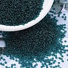 MIYUKI Round Rocailles Beads SEED-G007-RR2406-1
