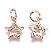 Brass Micro Pave Cubic Zirconia Charms ZIRC-F111-15-3