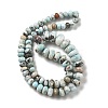 Natural Larimar Beads Strands G-Q024-E03-01-3