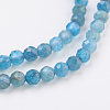 Natural Apatite Beads Strands G-F568-135-3mm-3
