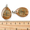 Natural Picture Jasper Teardrop Pendants G-Q175-01E-3