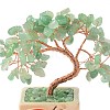 Heart Money Tree Natural Natural Green Aventurine Bonsai Display Decorations DJEW-G027-16RG-04-4