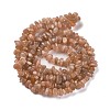 Natural Multi-Moonstone Chip Beads Strands G-M205-19A-2