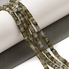 Natural Labradorite Beads Strands G-N342-85-2