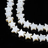 Natural Freshwater Shell Beads Strands SHEL-S278-01A-01-3