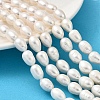 Natural Cultured Freshwater Pearl Beads Strands PEAR-I007-01E-05A-1