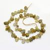 Natural Labradorite Beads Strands G-K202-11B-2