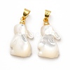 Natural White Shell Pendants SHEL-G014-13A-2